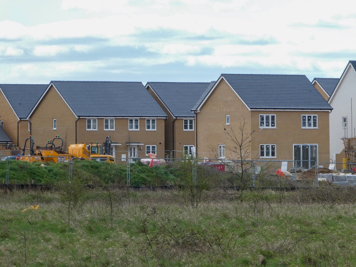 Newly built homes on a residential street